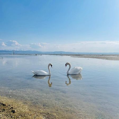 " Sunshine Am See " フリードリヒスハーフェン エクステリア 写真